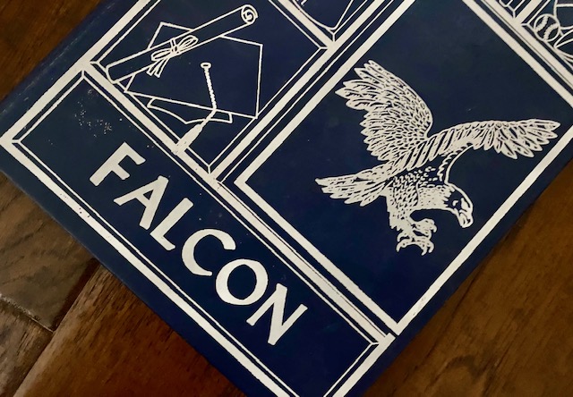 10. My Year as a Mighty&nbsp;Falcon